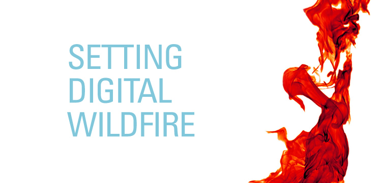Setting Digital Wildfire